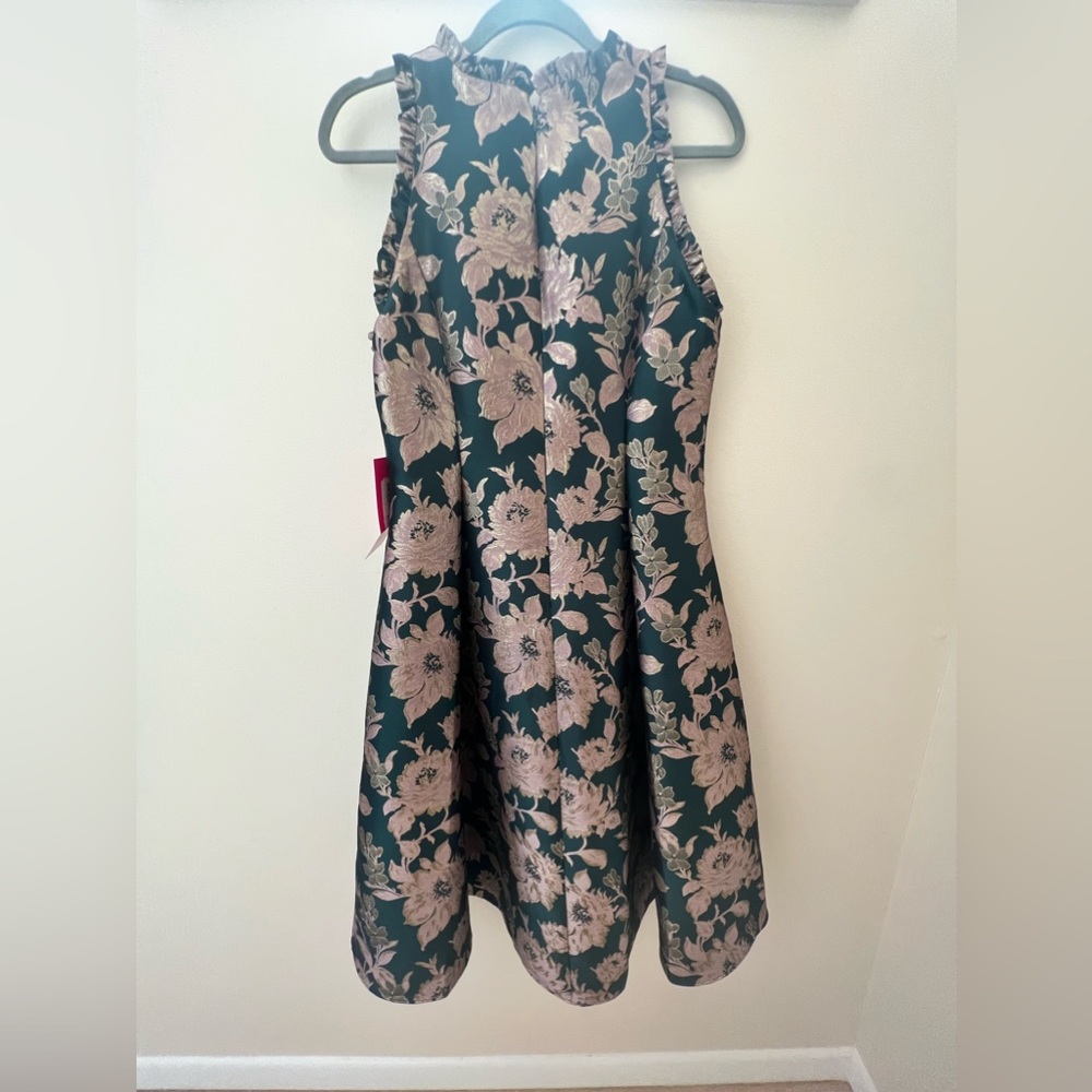 Beautiful Adrianna Papell Dress